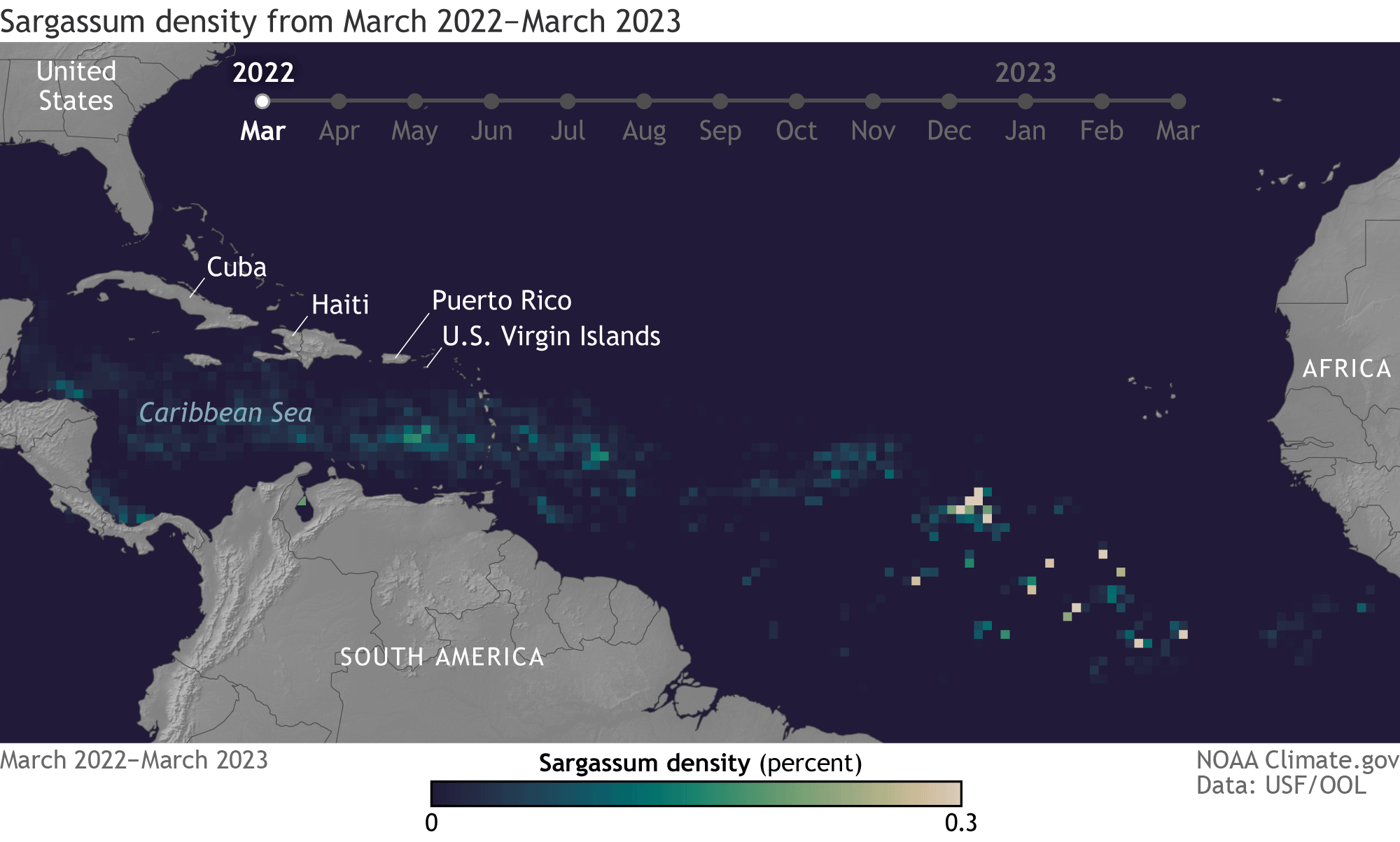 This data visualization animation shows the change in the density of Sargassum from March 2022 to March 2023. The animation highlights the regions of the Caribbean Sea, the eastern coast of Central America, and the northern coast of South America. There are markers for locations such as the United States, Cuba, Haiti, Puerto Rico, and the U.S. Virgin Islands. The months of the year 2022 through early 2023 are indicated across the top. The density of Sargassum is indicated by color-coded squares, with a scal