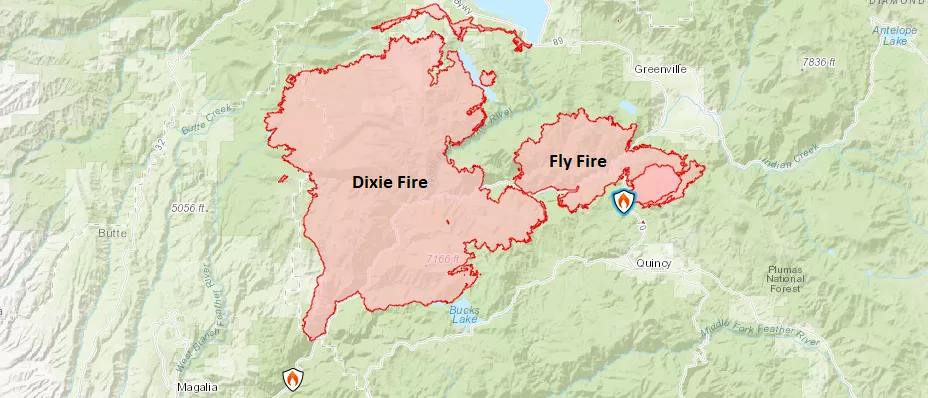 Image of dixie and fly fire