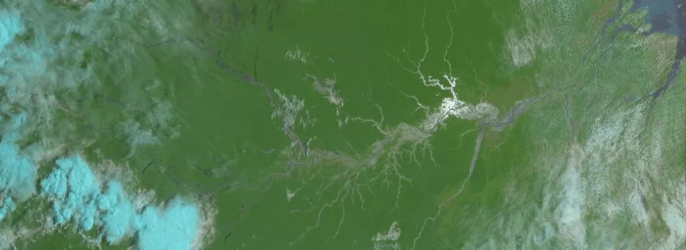 Sunglint reflected on the Amazon lights up the rivers like lightning. 