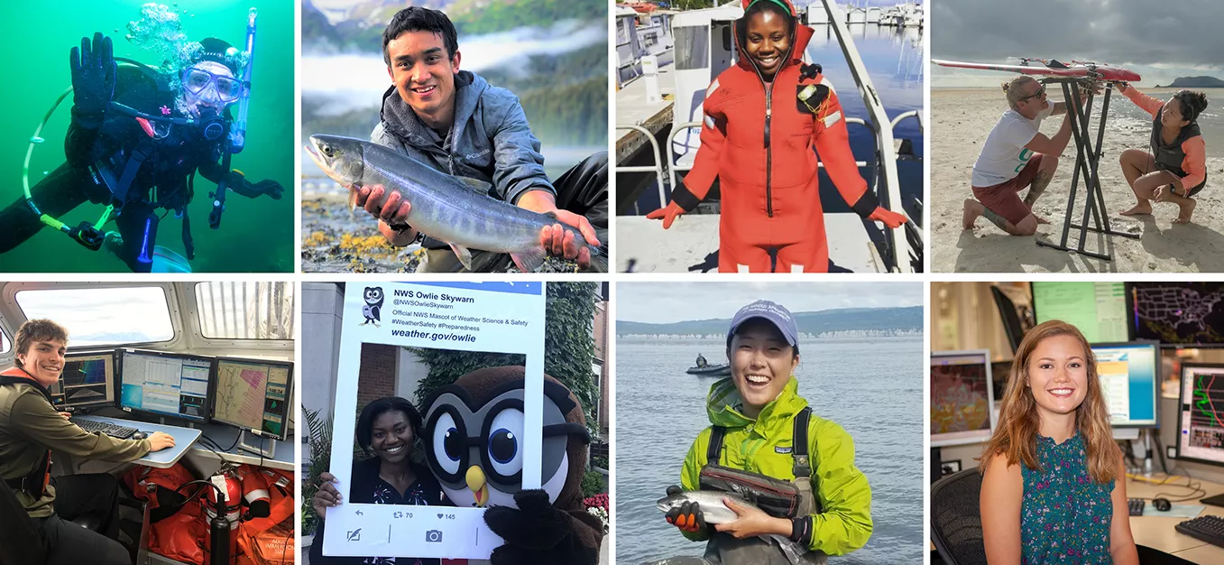 Various images of interns in the seas.