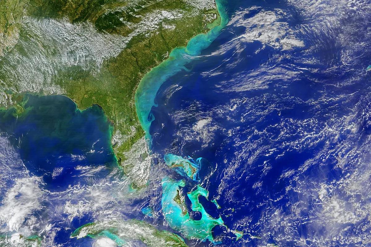 Satellite image of Florida and part of the Atlantic Ocean and Gulf of Mexico. Coastal waters are a milky, aquamarine color due to sediment. Browner hues are runoff. 