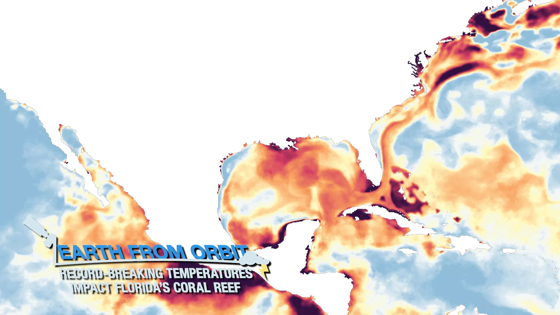 Extreme Ocean Temperatures Are Affecting Florida’s Coral Reef