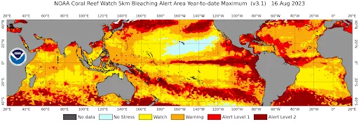 Image sea surface temperature and coral reefs