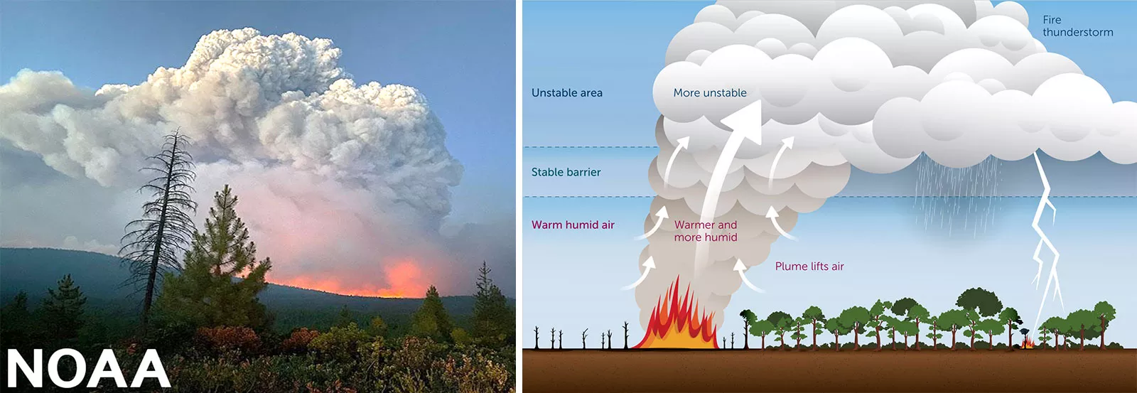2 images: A large pyrocumulonimbus cloud against a blue sky. An illustration of the development of a pyrocumulonimbus cloud uses arrows to depict warm humid air being pulled upward by a smoke plume that rises above a wildfire. As the warm air is lifted upward, it reaches the stable barrier in the atmosphere, above which it becomes more unstable and forms a pyrocumulonimbus cloud. The pyroCb, or fire thunderstorm, results in rain, lightning, and a large smoke plume stretching downwind of the wildfire. 