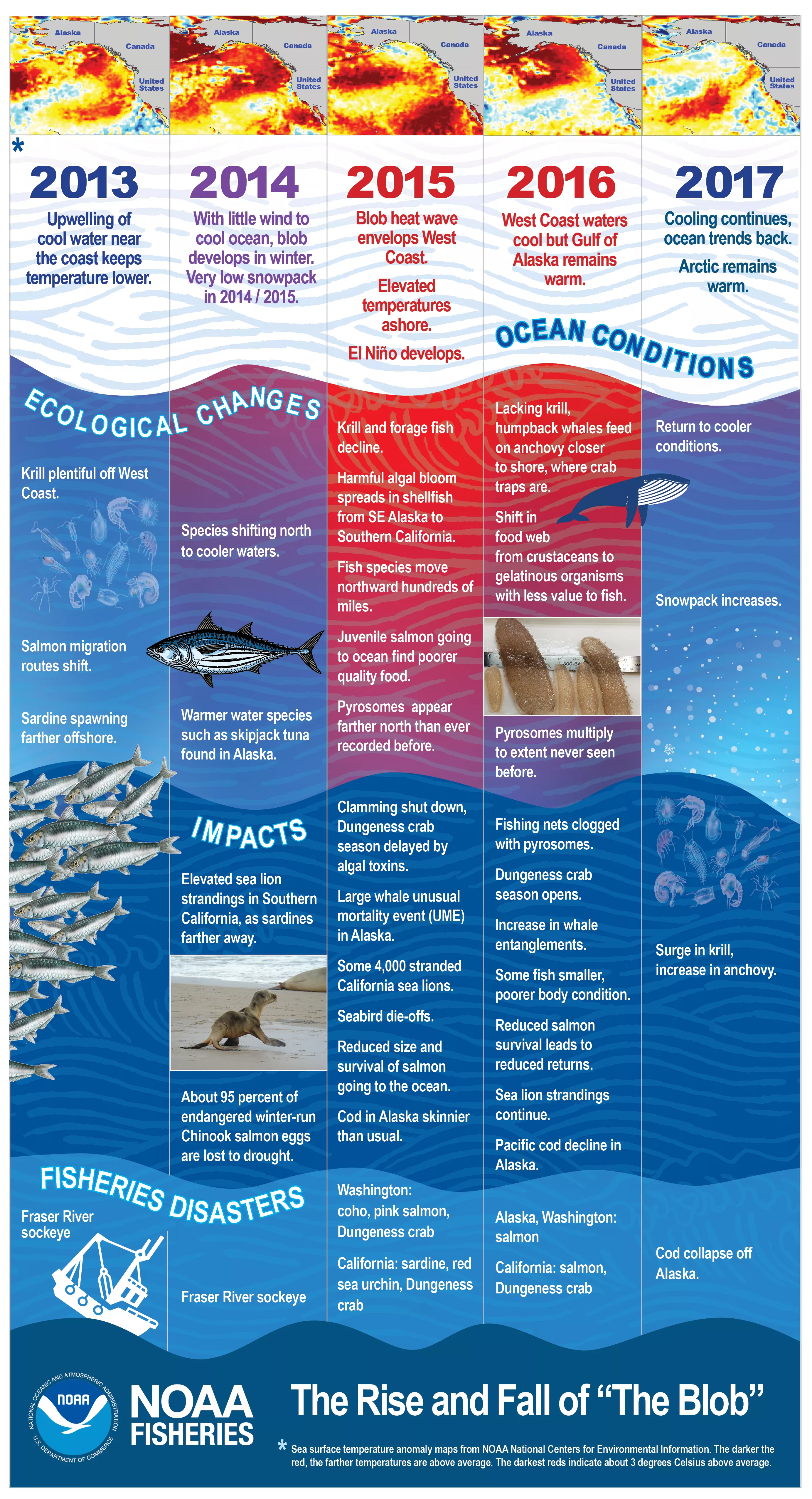 Fisheries Infographic